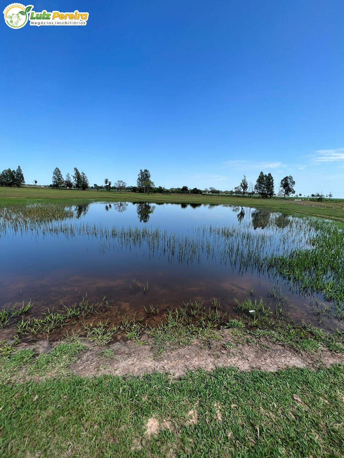 Fazenda à venda, 4880000m² - Foto 7