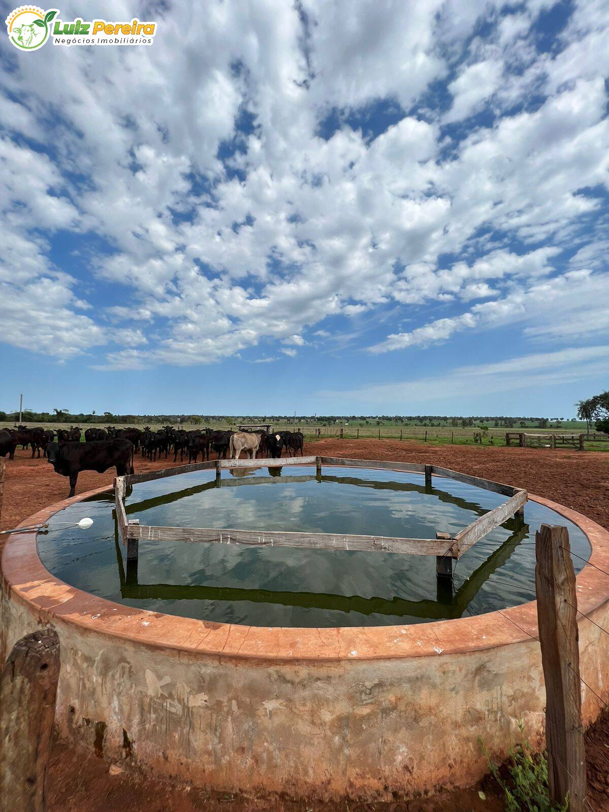 Fazenda à venda, 4880000m² - Foto 31