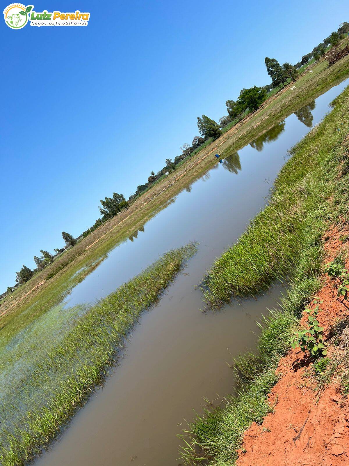 Fazenda à venda, 4880000m² - Foto 8