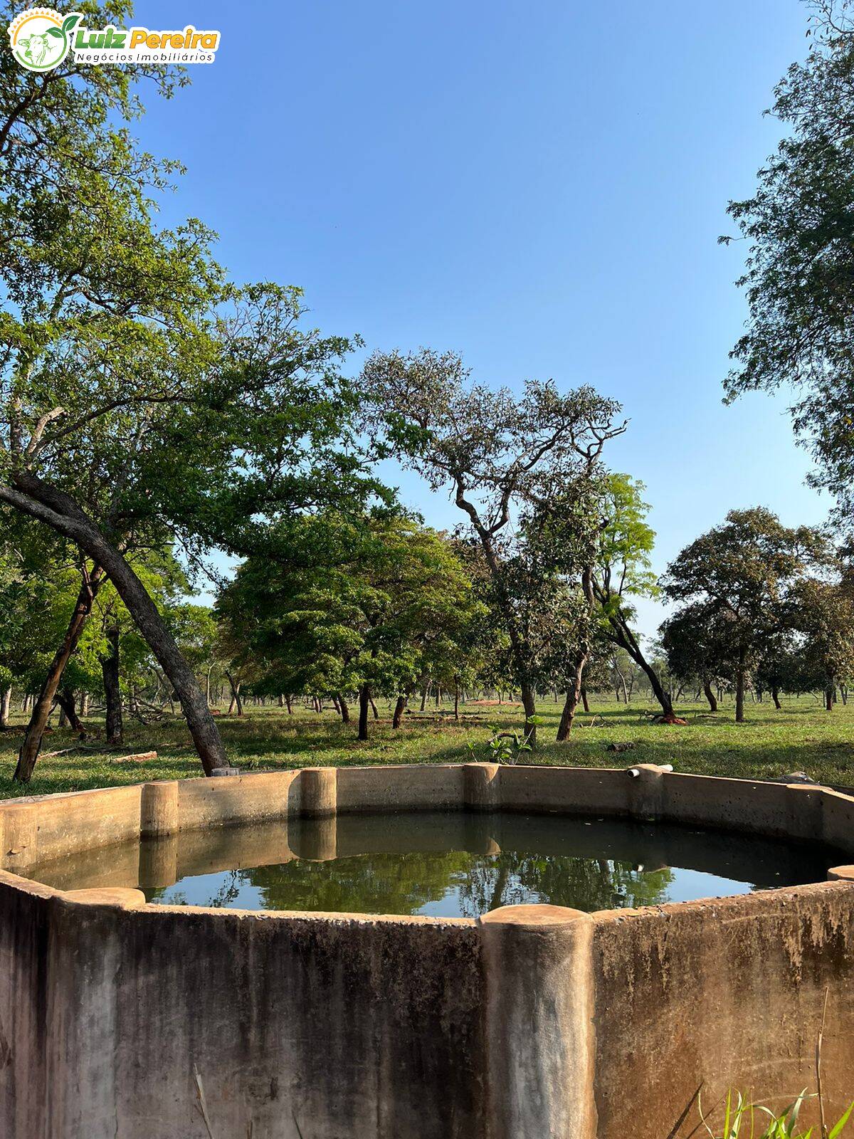 Fazenda à venda, 4880000m² - Foto 1