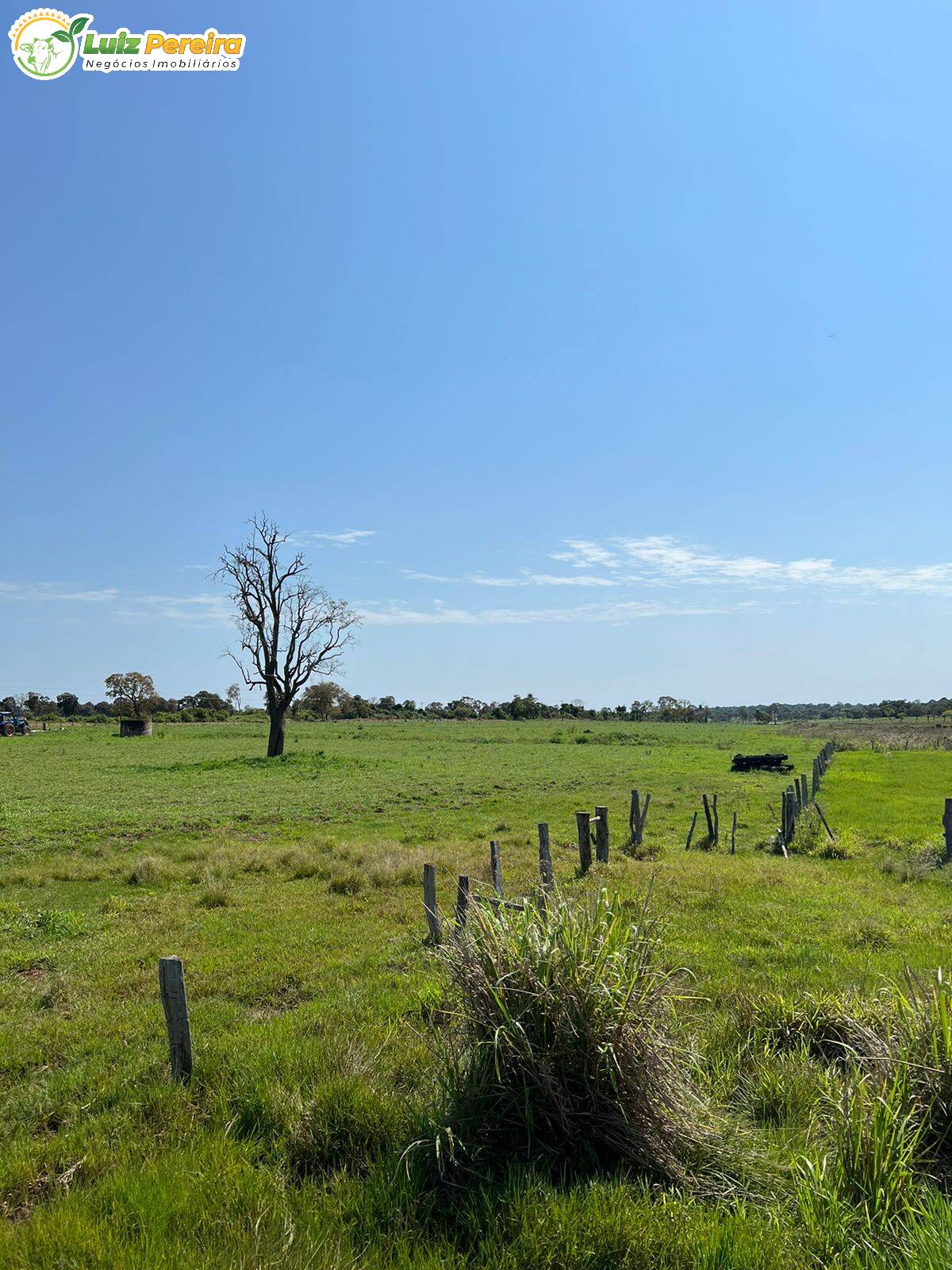 Fazenda à venda, 4880000m² - Foto 5