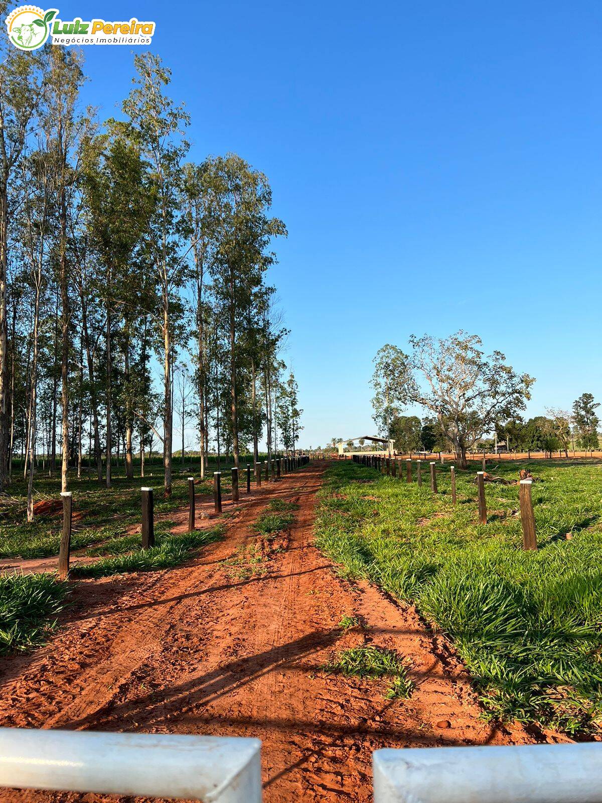 Fazenda à venda, 4880000m² - Foto 13