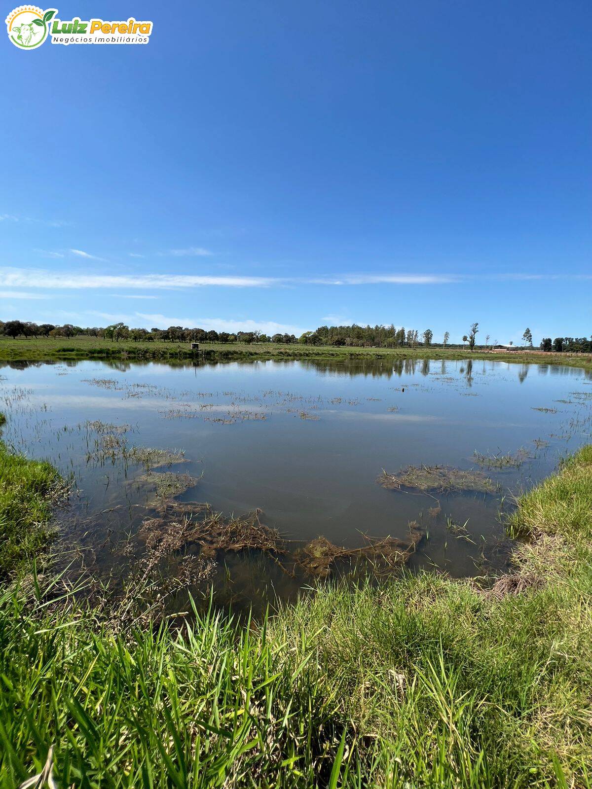 Fazenda à venda, 4880000m² - Foto 6