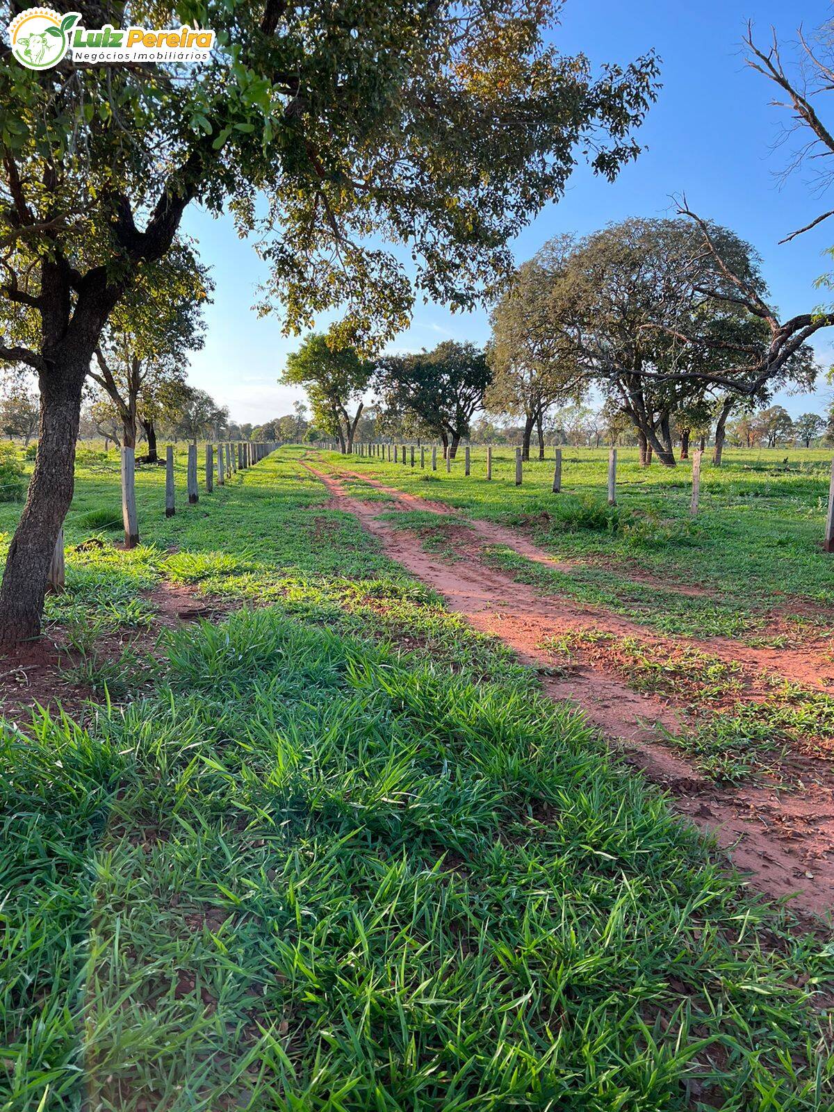 Fazenda à venda, 4880000m² - Foto 14