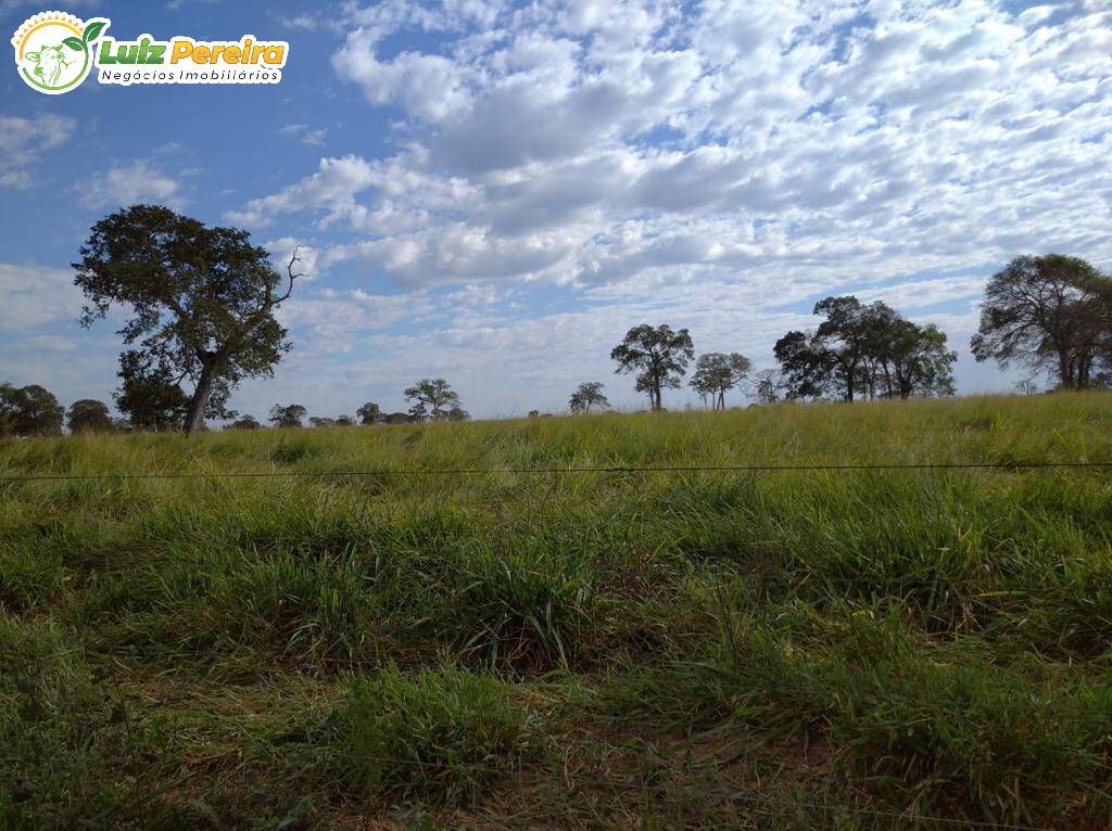 Fazenda à venda, 11820000m² - Foto 8