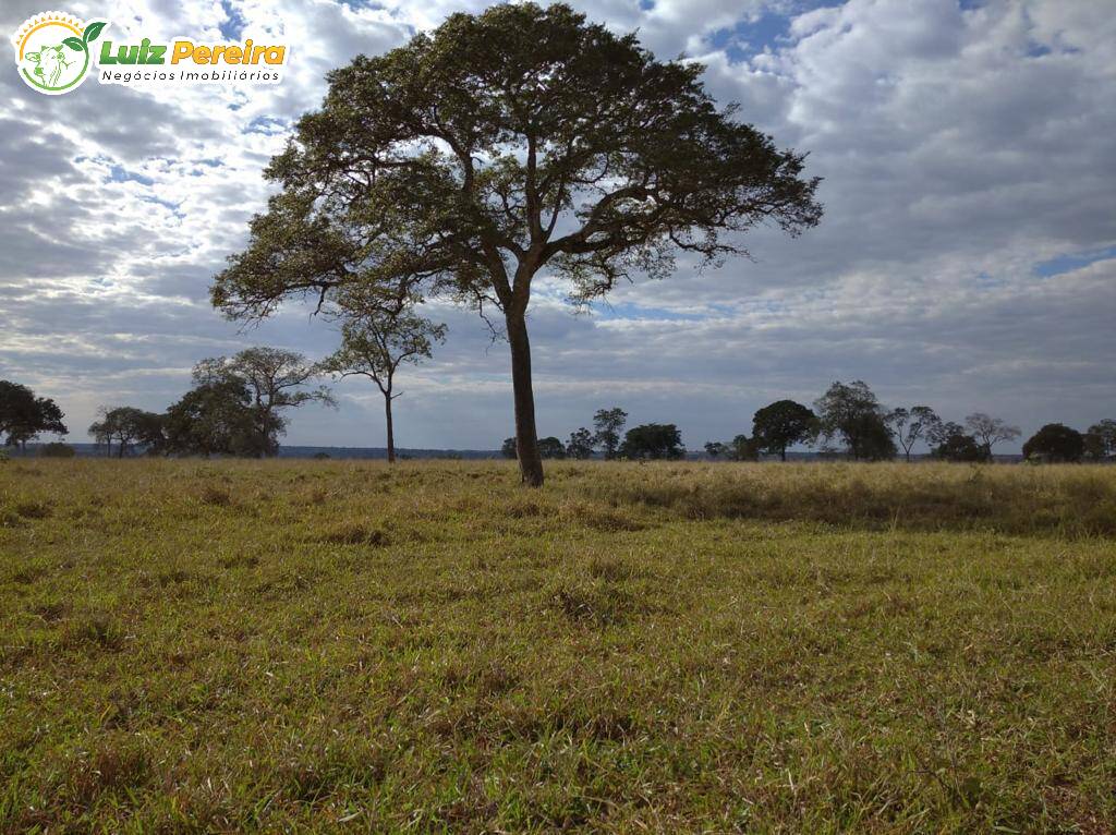 Fazenda à venda, 11820000m² - Foto 2