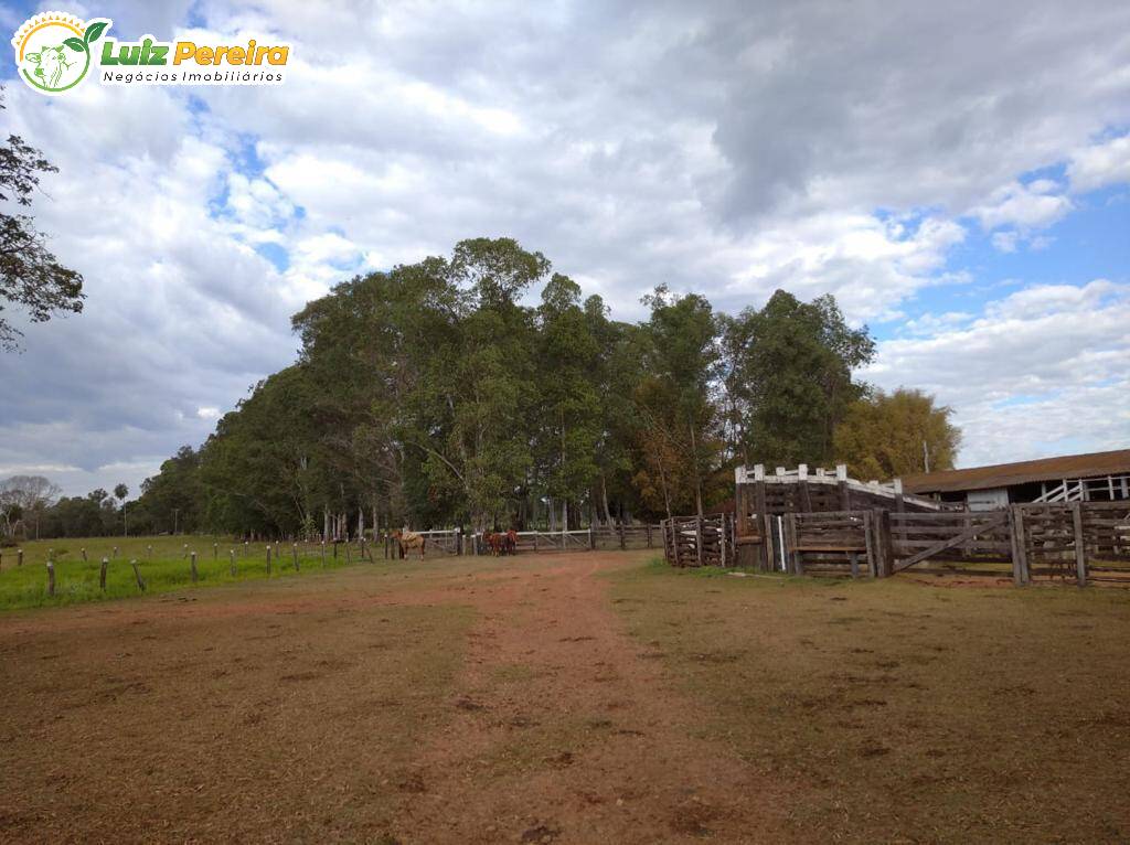 Fazenda à venda, 11820000m² - Foto 15