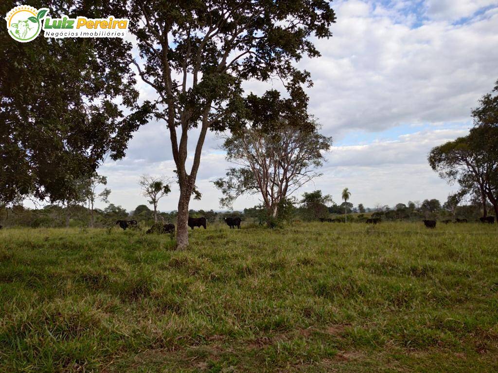 Fazenda à venda, 11820000m² - Foto 4