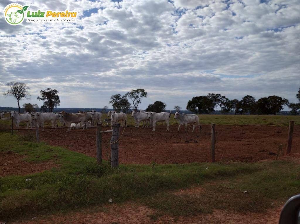 Fazenda à venda, 11820000m² - Foto 19