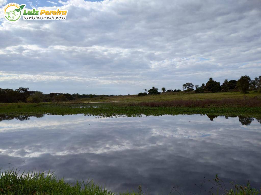 Fazenda à venda, 11820000m² - Foto 1