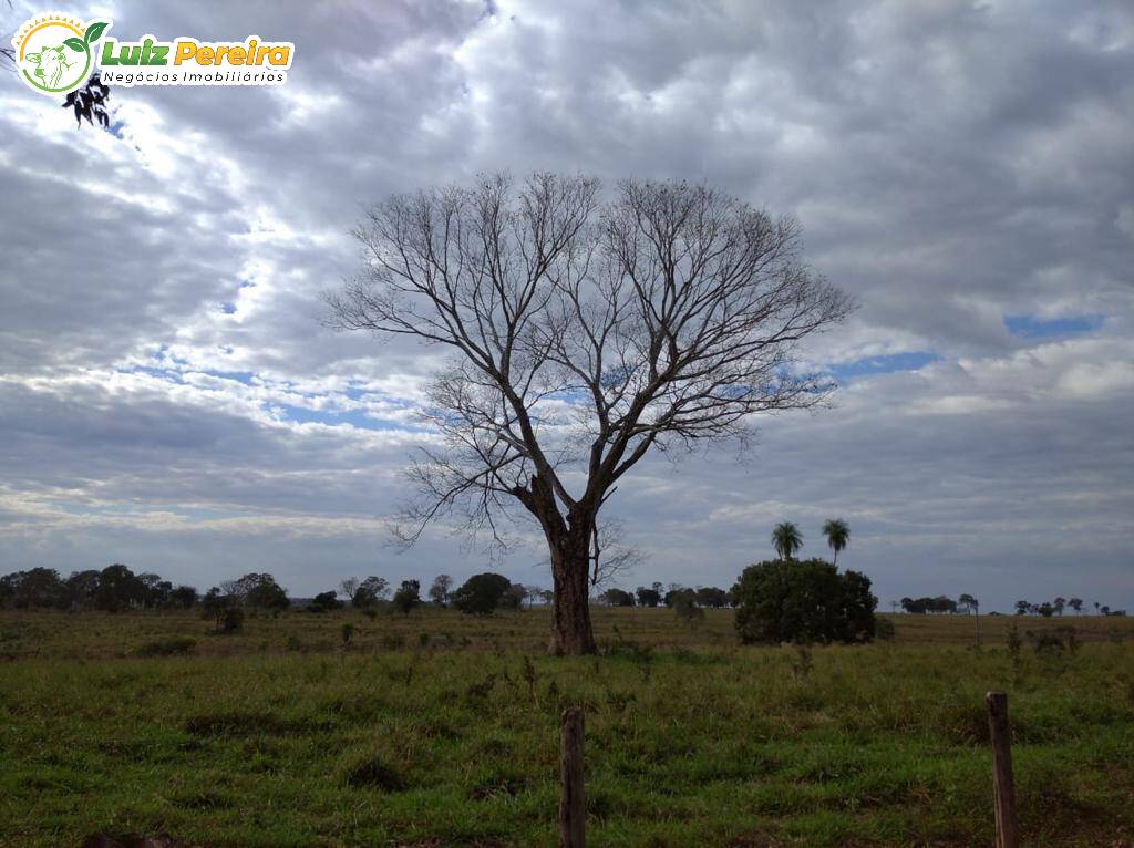 Fazenda à venda, 11820000m² - Foto 5