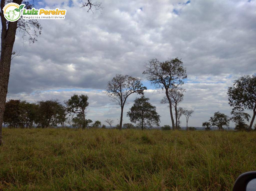 Fazenda à venda, 11820000m² - Foto 6