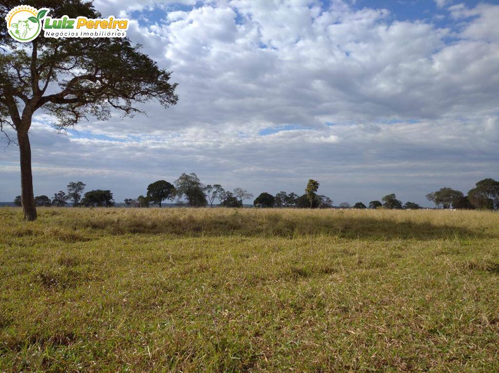 Fazenda à venda, 11820000m² - Foto 7