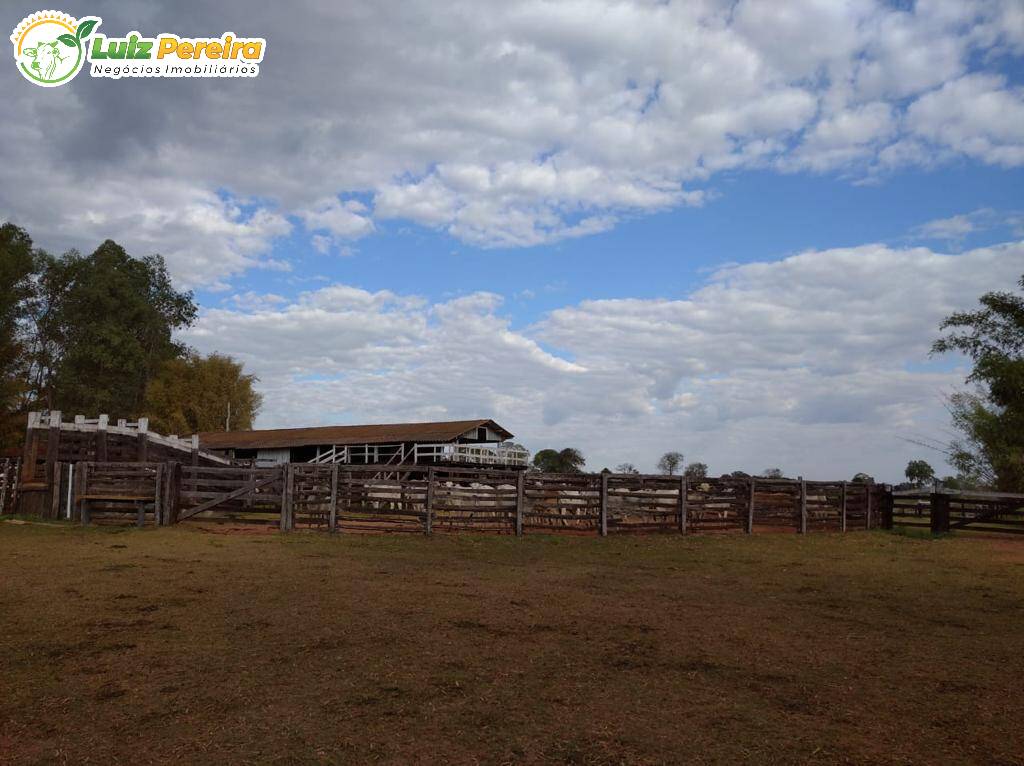 Fazenda à venda, 11820000m² - Foto 23