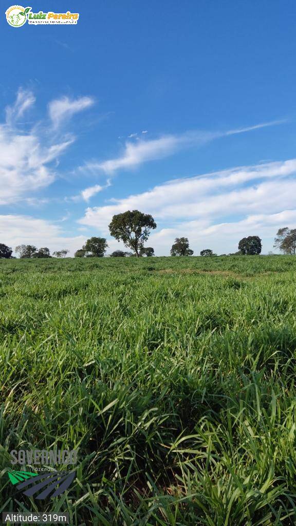 Fazenda à venda, 4210000m² - Foto 14