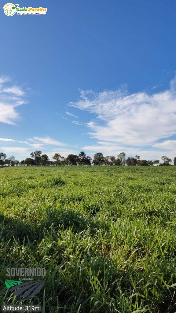 Fazenda à venda, 4210000m² - Foto 17