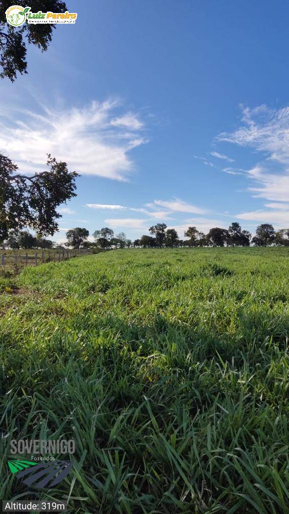 Fazenda à venda, 4210000m² - Foto 15