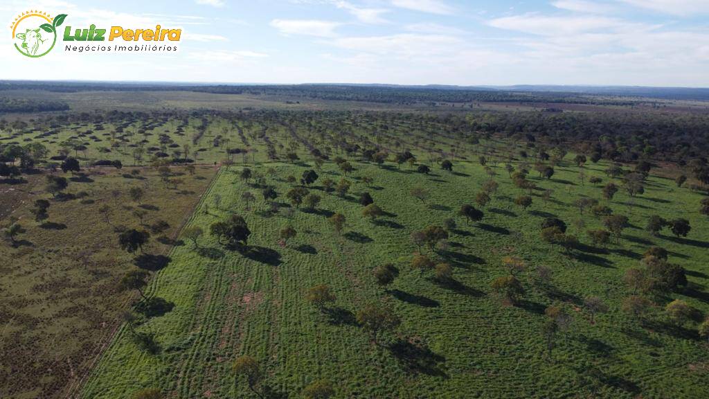 Fazenda à venda, 4210000m² - Foto 7