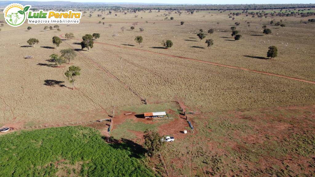 Fazenda à venda, 4210000m² - Foto 8