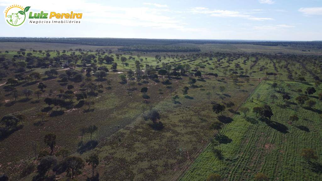 Fazenda à venda, 4210000m² - Foto 6