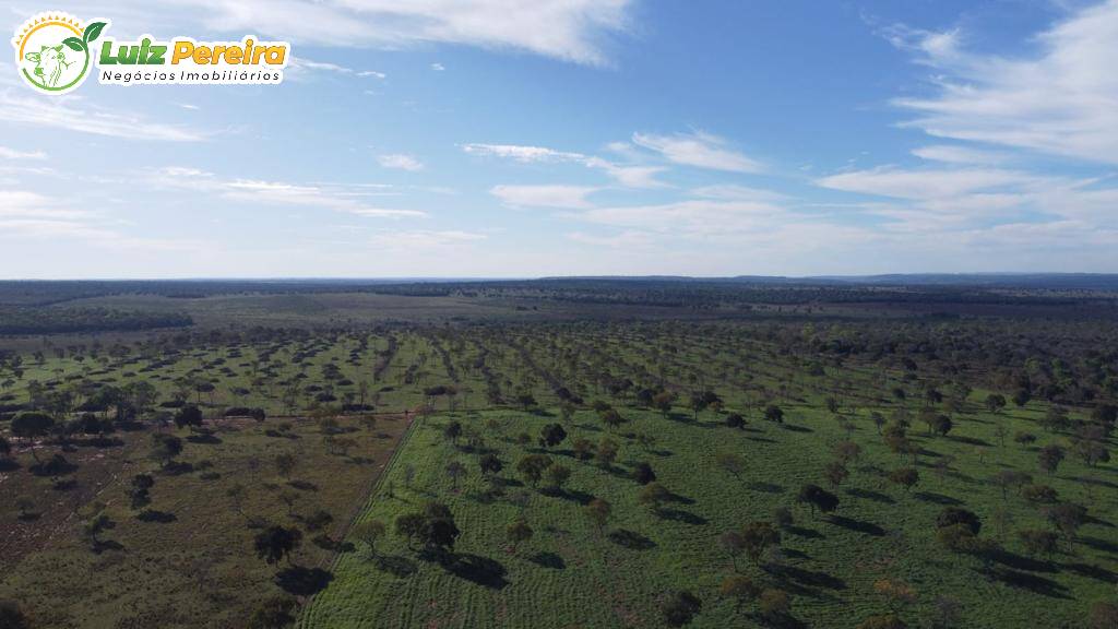 Fazenda à venda, 4210000m² - Foto 5