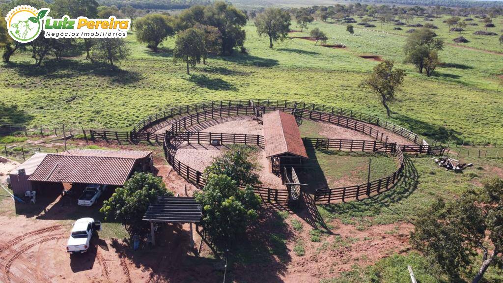 Fazenda à venda, 4210000m² - Foto 18