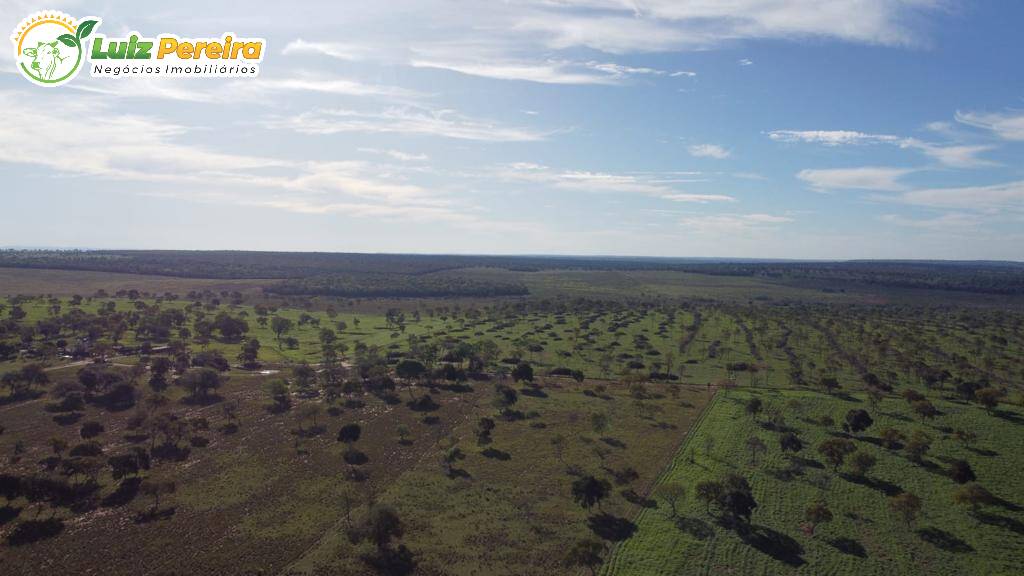 Fazenda à venda, 4210000m² - Foto 9