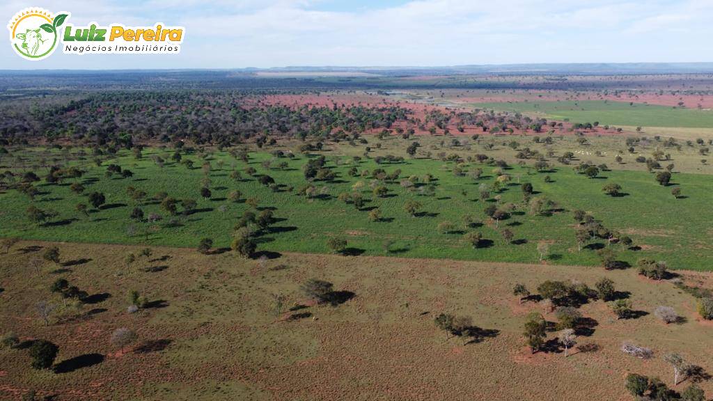 Fazenda à venda, 4210000m² - Foto 11