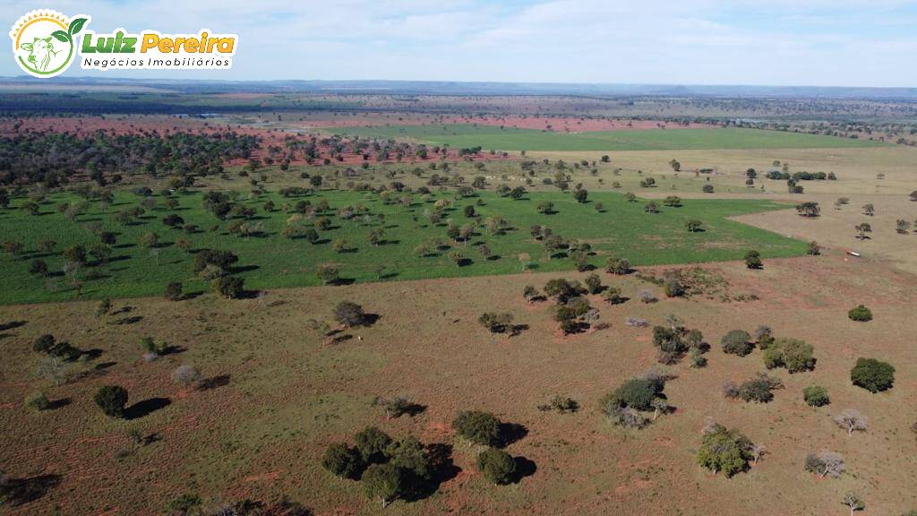 Fazenda à venda, 4210000m² - Foto 4