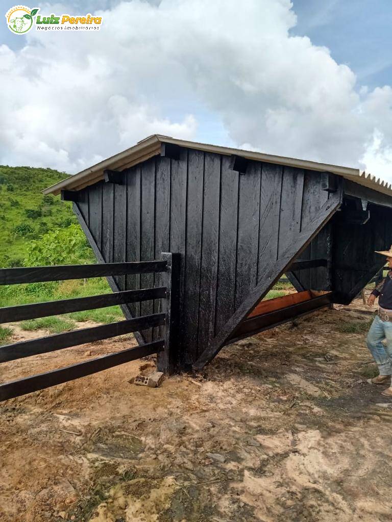 Fazenda à venda, 91960000m² - Foto 13