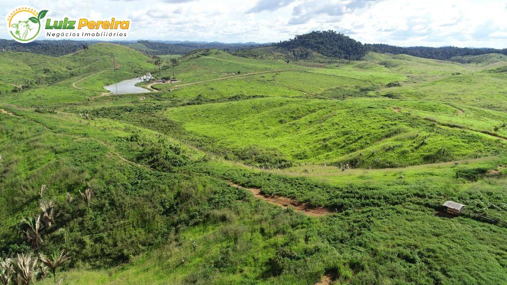 Fazenda à venda, 91960000m² - Foto 3