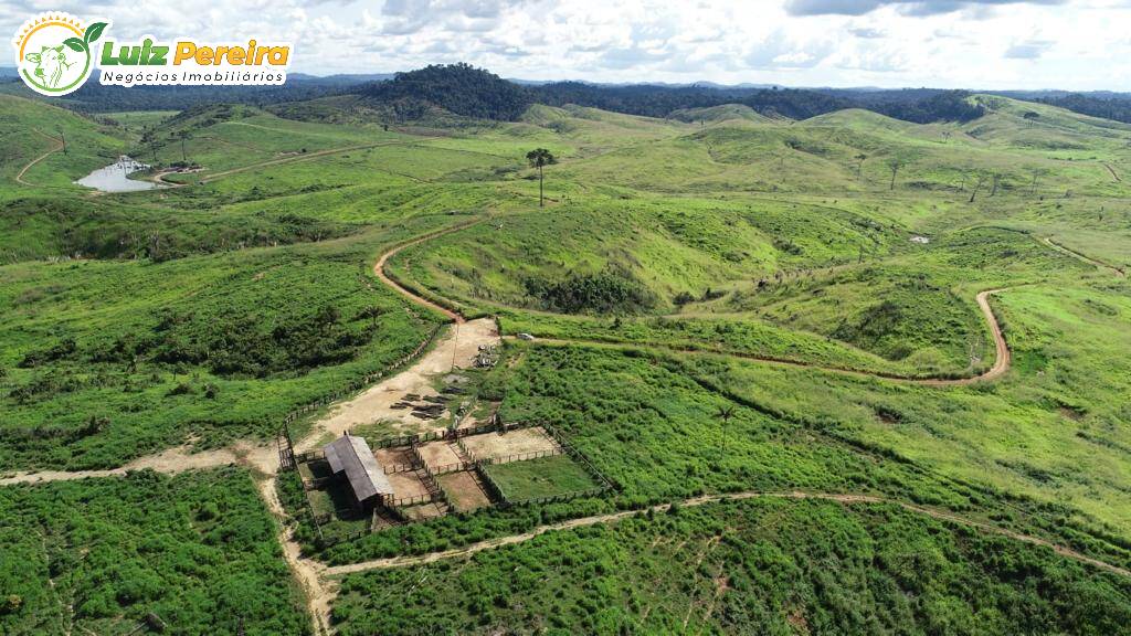 Fazenda à venda, 91960000m² - Foto 4