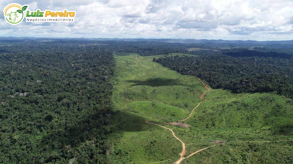 Fazenda à venda, 91960000m² - Foto 8