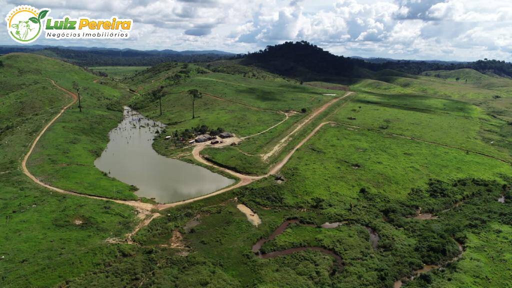 Fazenda à venda, 91960000m² - Foto 7