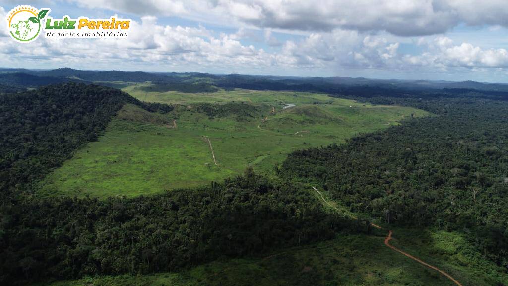 Fazenda à venda, 91960000m² - Foto 6