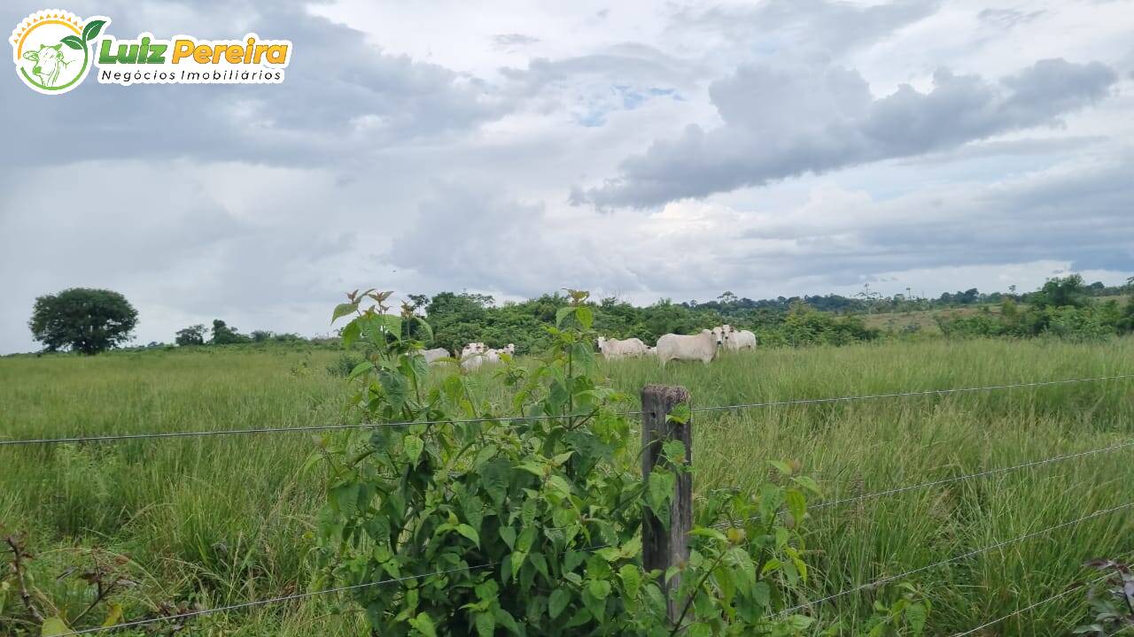 Fazenda à venda, 10841600m² - Foto 7