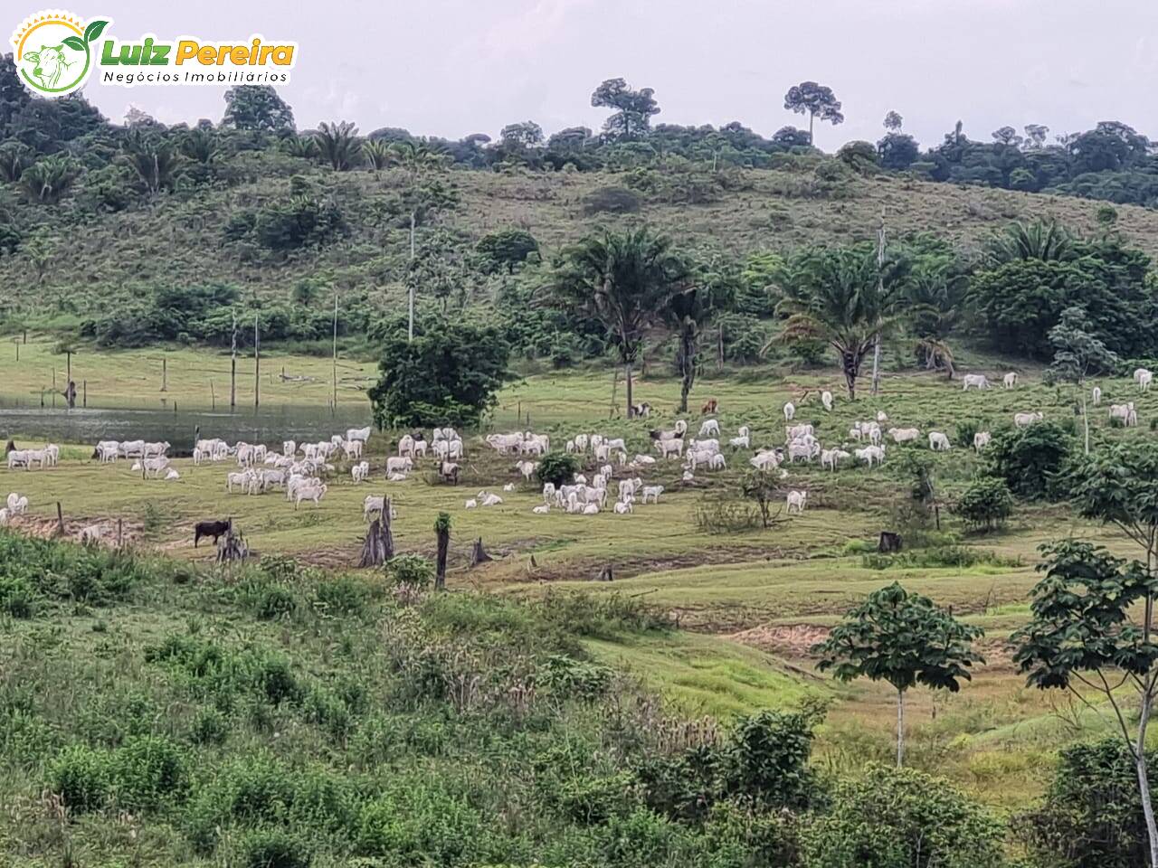 Fazenda à venda, 10841600m² - Foto 1