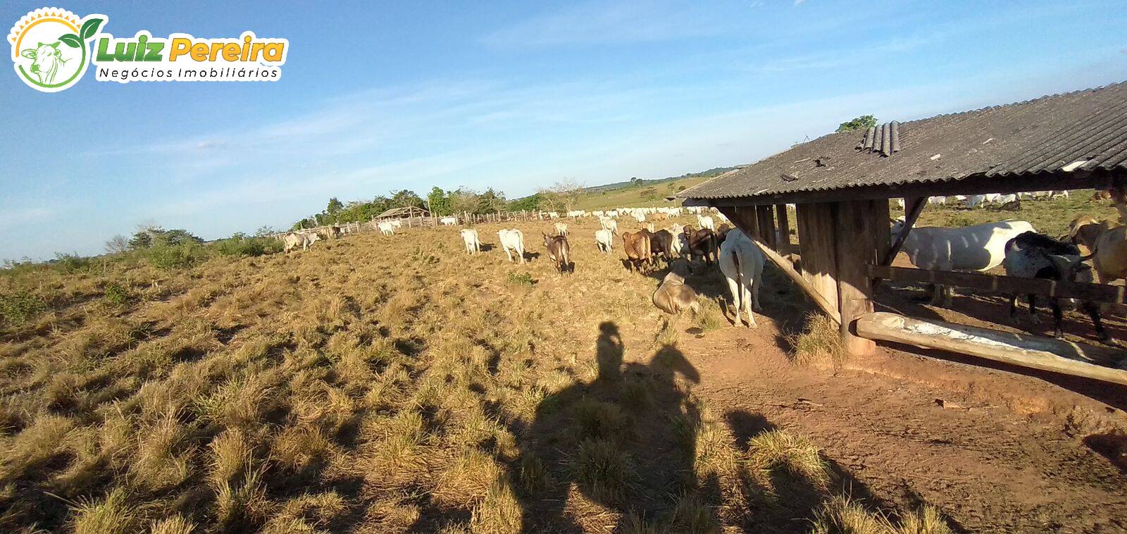 Fazenda à venda, 309m² - Foto 6