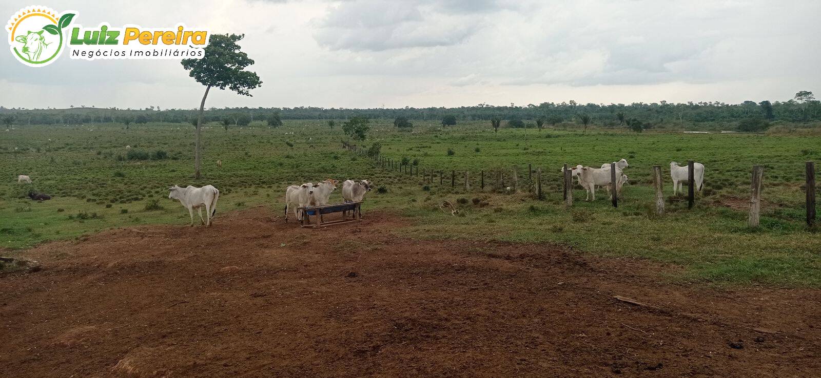 Fazenda à venda, 309m² - Foto 1