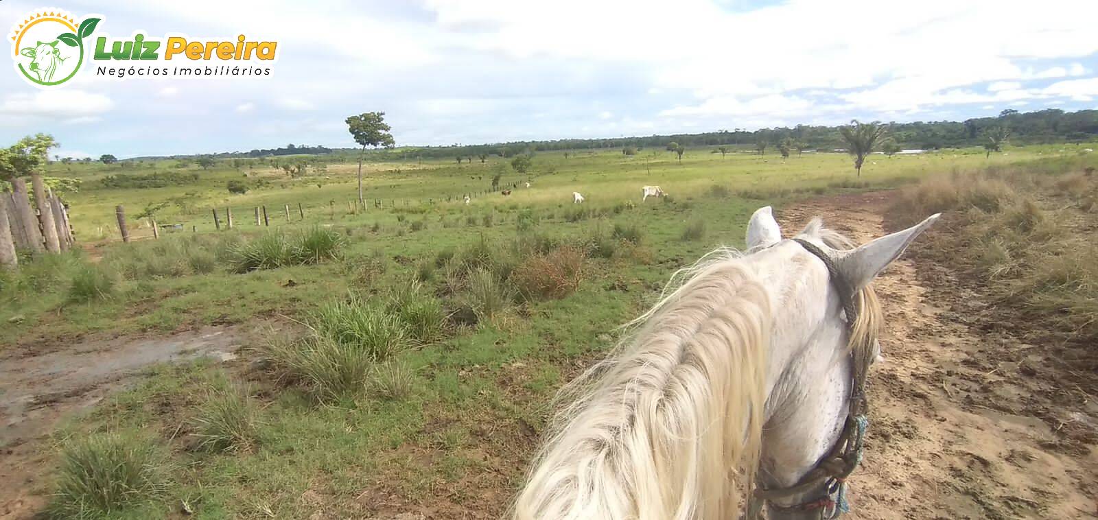 Fazenda à venda, 309m² - Foto 7