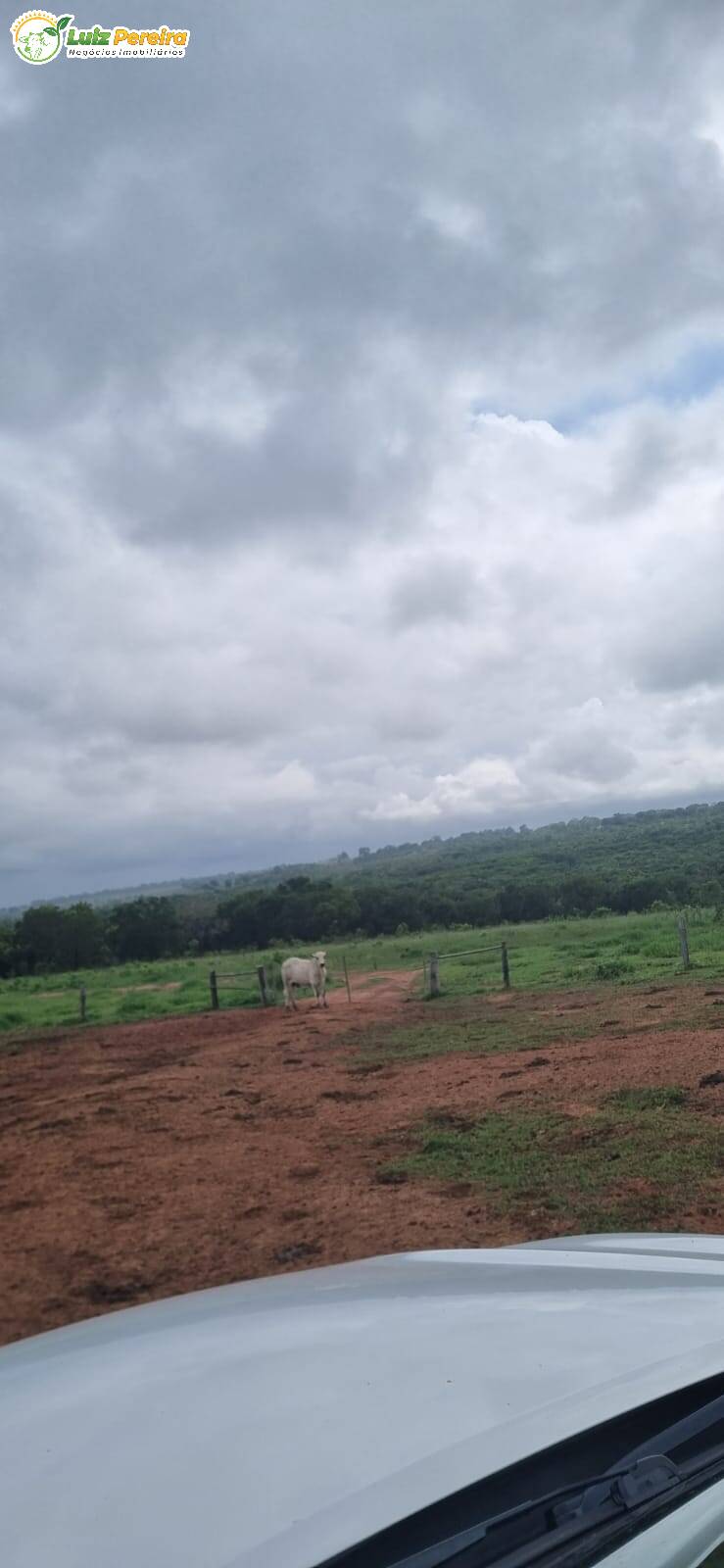 Fazenda-Sítio-Chácara, 300 hectares - Foto 2