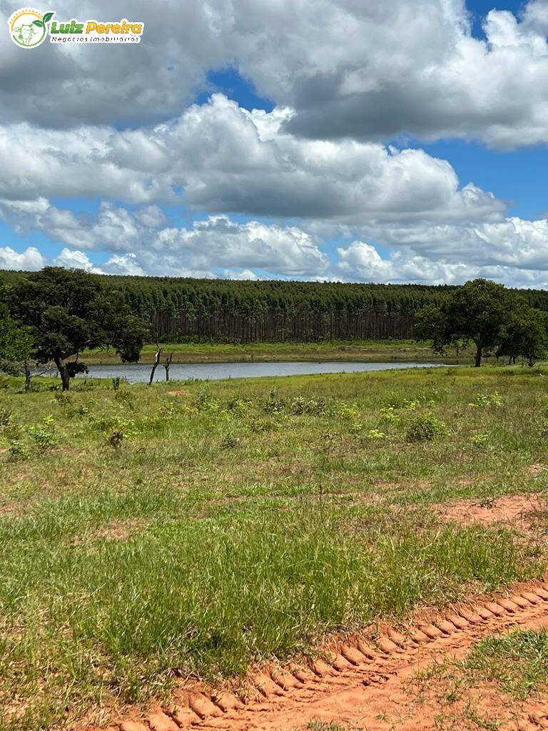 Fazenda-Sítio-Chácara, 200 hectares - Foto 3