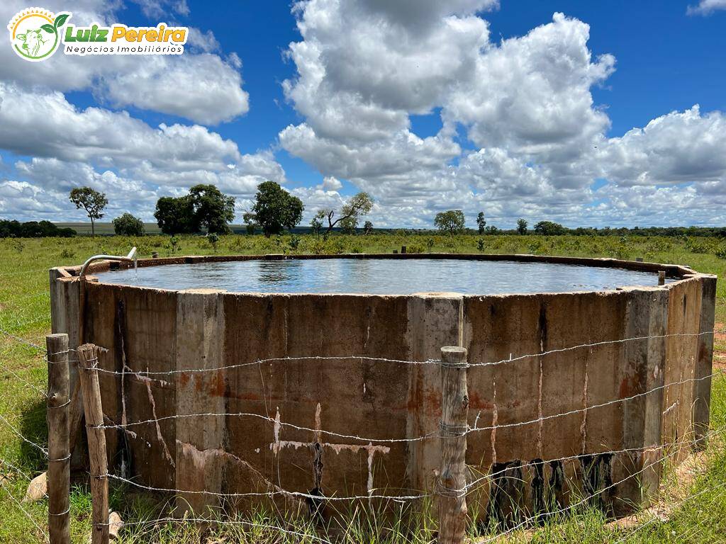 Fazenda à venda, 2000000m² - Foto 8