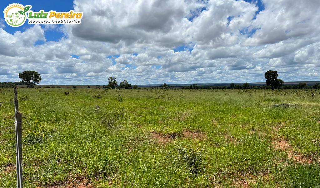 Fazenda à venda, 2000000m² - Foto 5