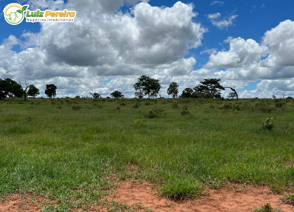 Fazenda à venda, 2000000m² - Foto 18