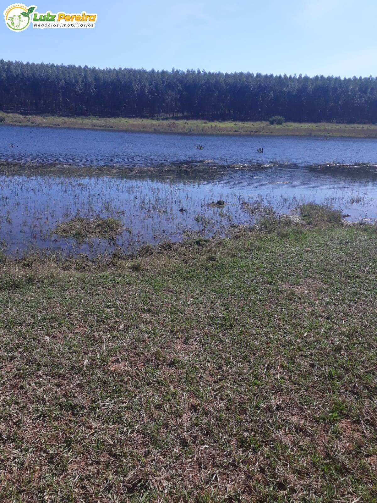 Fazenda à venda, 2000000m² - Foto 11