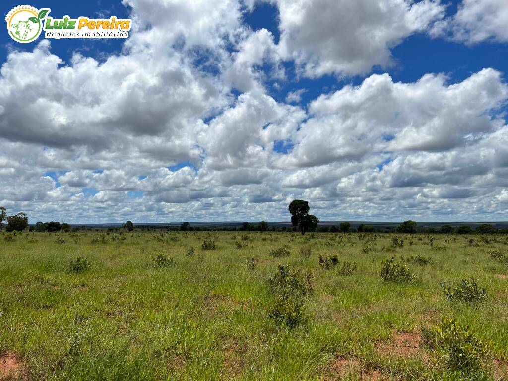 Fazenda à venda, 2000000m² - Foto 6