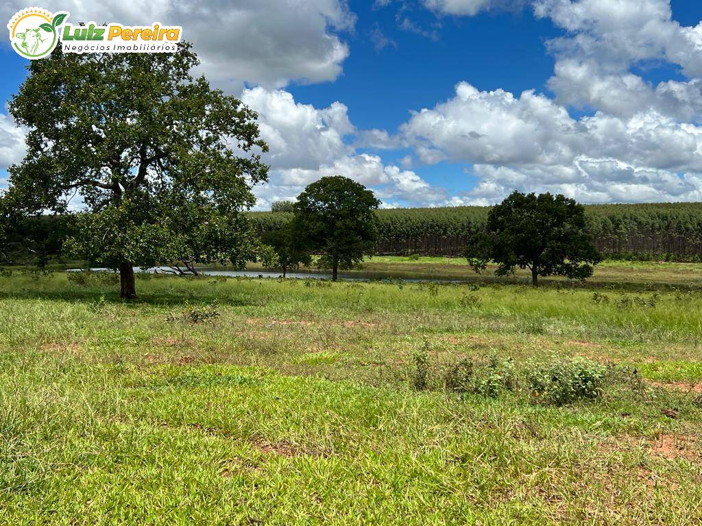Fazenda-Sítio-Chácara, 200 hectares - Foto 1