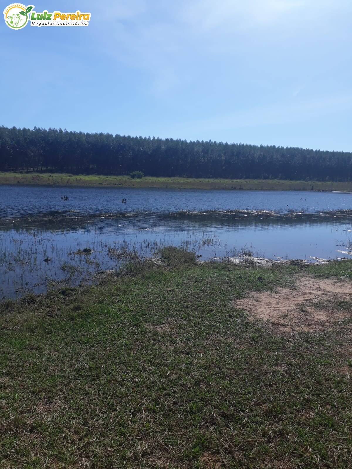 Fazenda à venda, 2000000m² - Foto 10