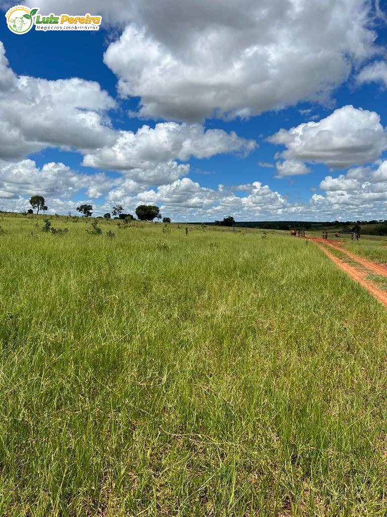 Fazenda à venda, 2000000m² - Foto 13